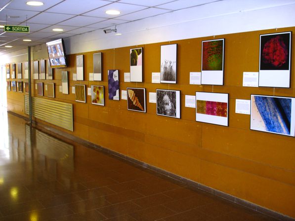 Soporte SG - Imagen 9